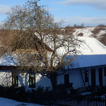 Nefelejcs Vendeghaz Apartament