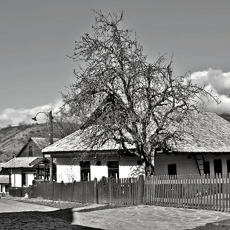 Nefelejcs Vendeghaz Hollókő